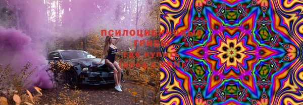 mdpv Пролетарск